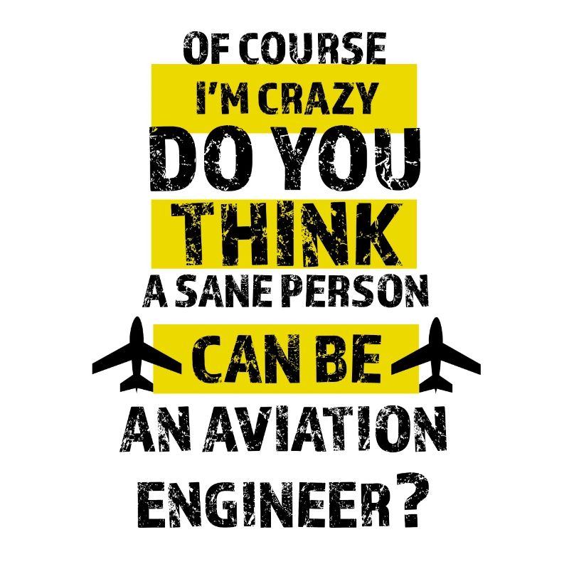 Aviation engineer, airplanes