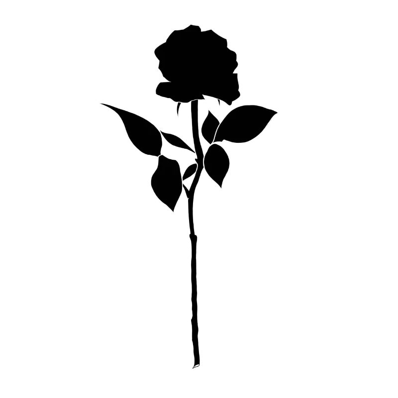 Black rose