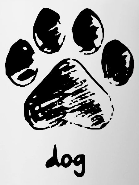 Dog paw - Dog