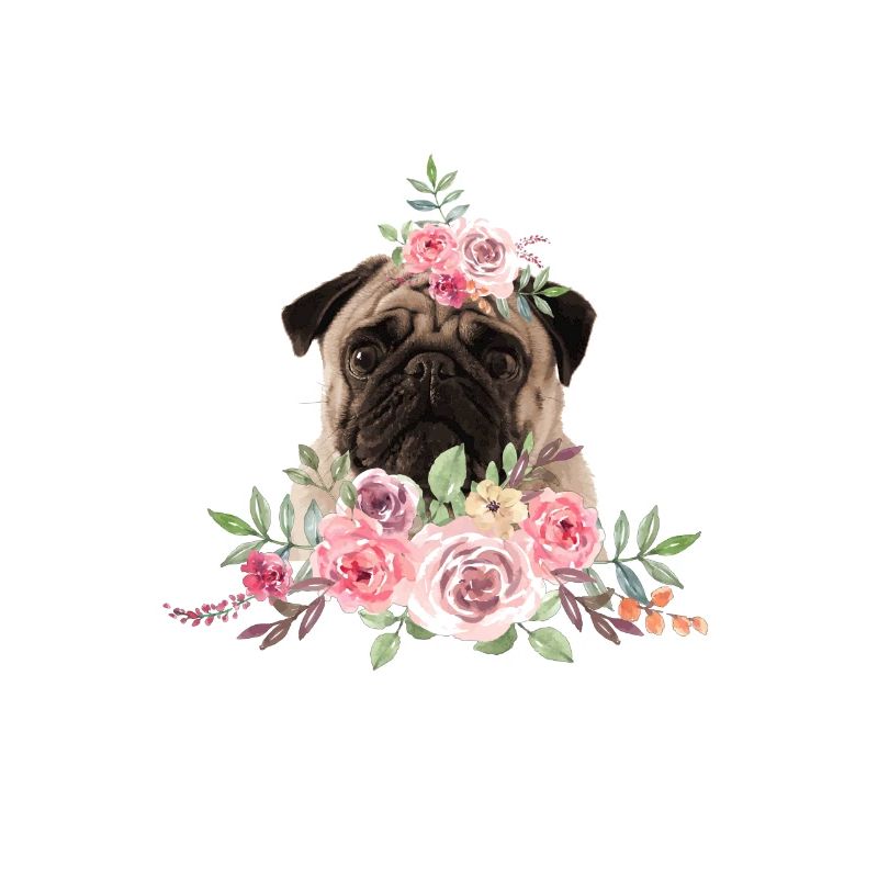 Mops