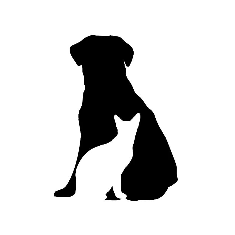 dog and cat
