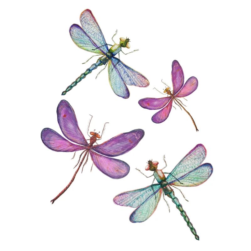 Der Flug der Libellen