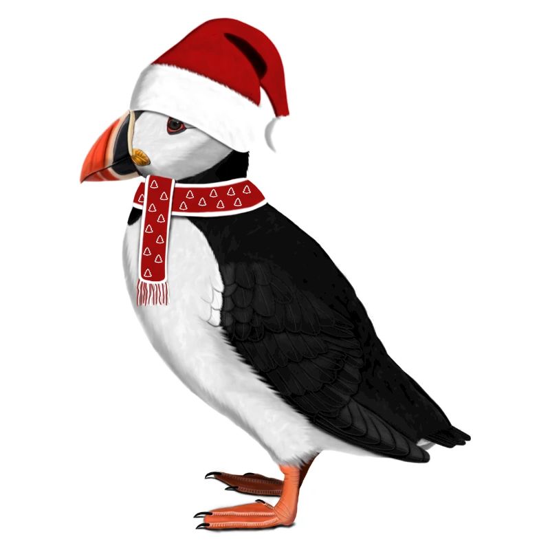 Bonnet Écharpe Père Noël Oiseau Macareux