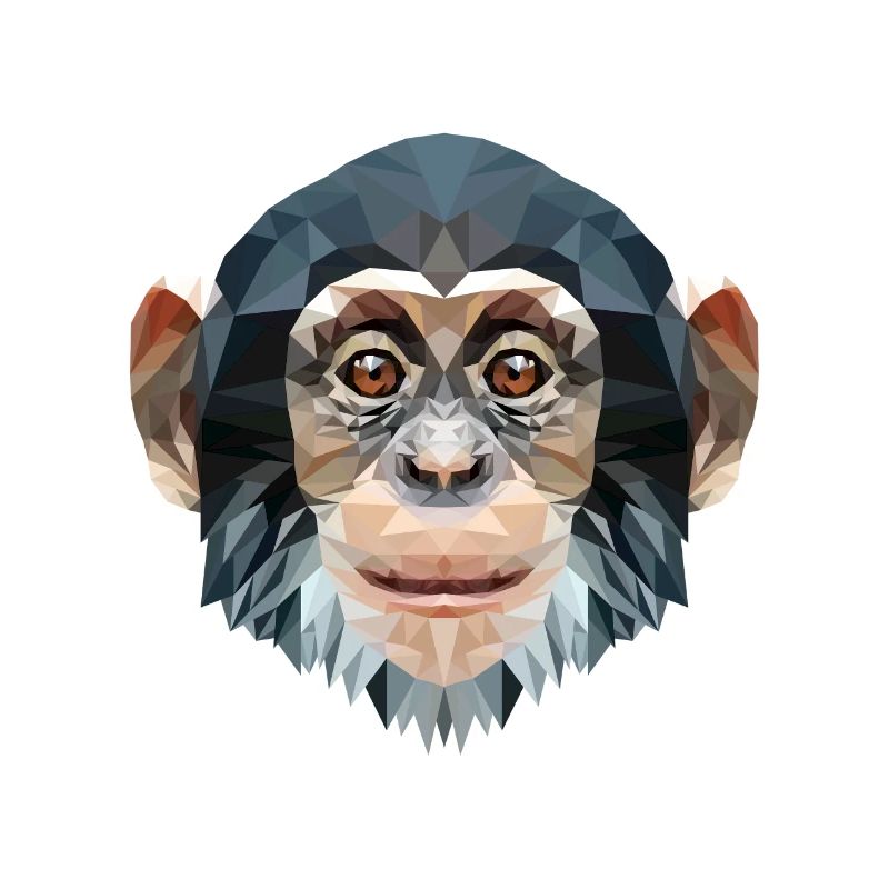 Polygone design singe chimpanzé