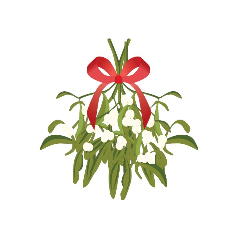 Christmas mistletoe