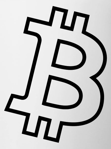 Bitcoin Log