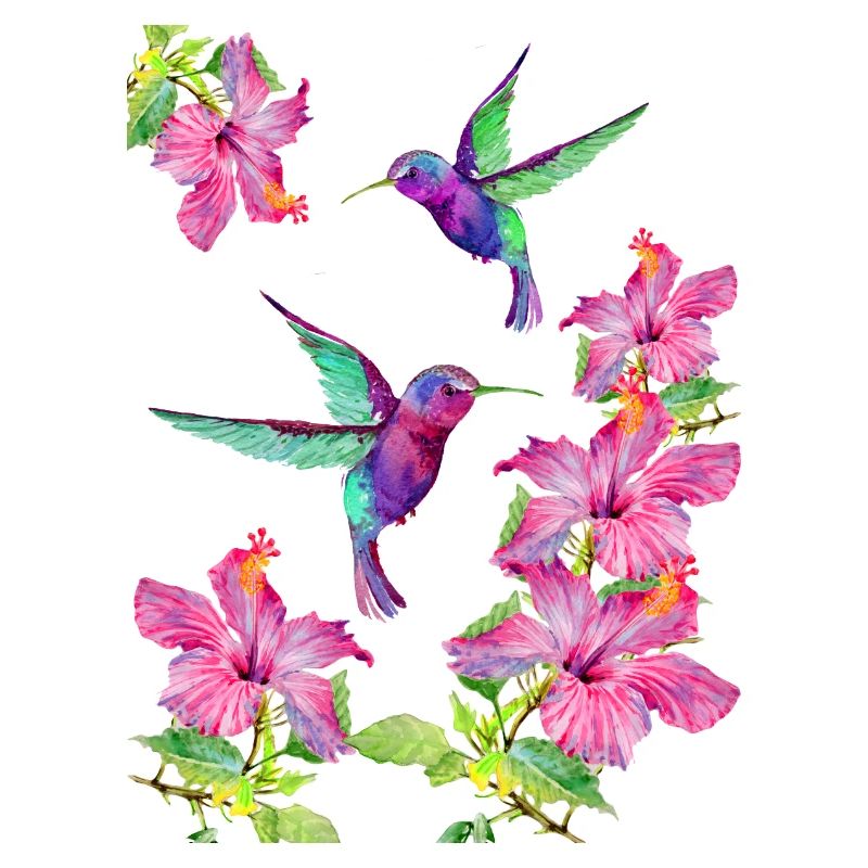 Hummingbirds fluttering between fuchsias