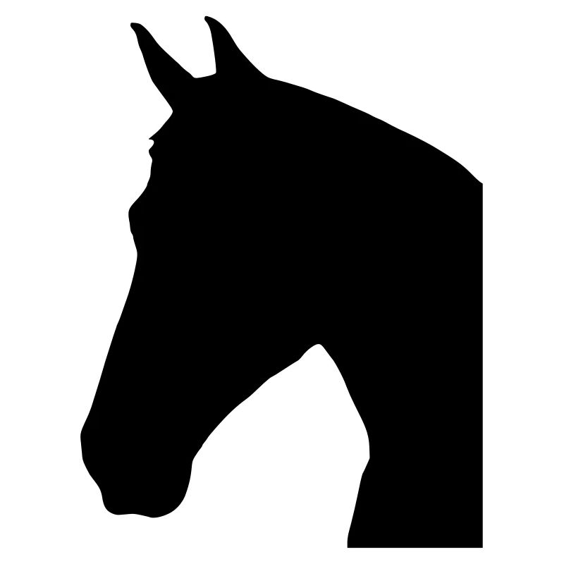 Tête de cheval SMILE