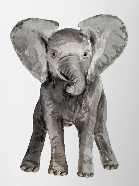 Elephant Baby