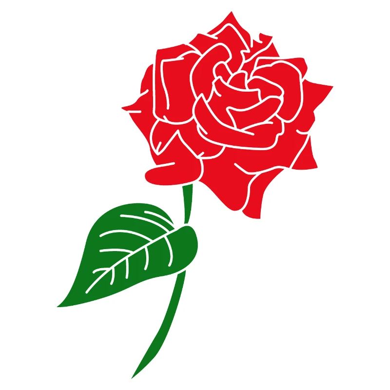Rose rouge