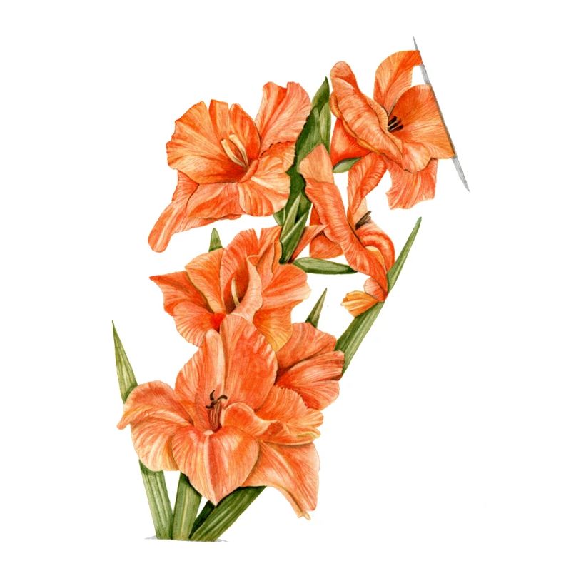 Blumen
