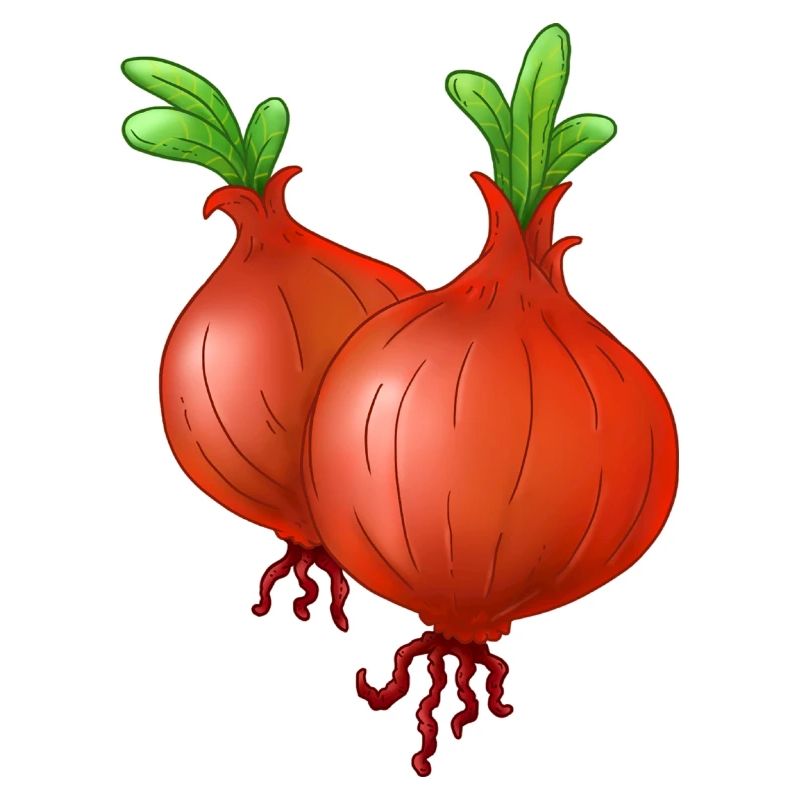 Onion