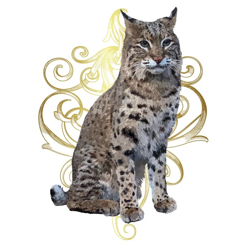 Lynx