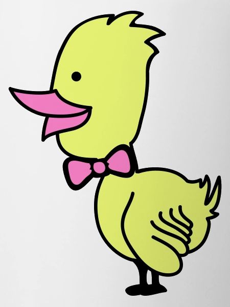 Duck