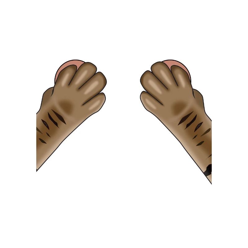 Cat Paws