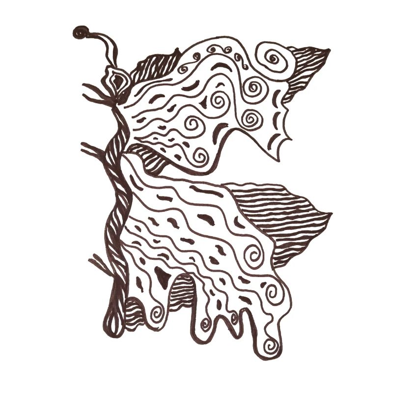 Papillon