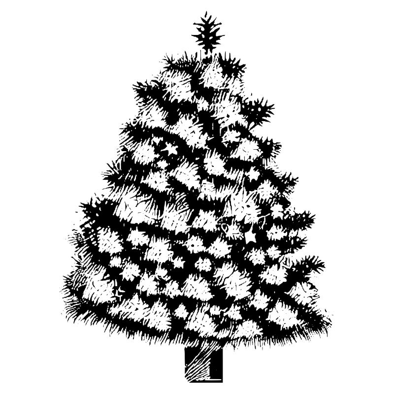 Weihnachten Baum Weihnachtsbaum Urlaub Winter 7