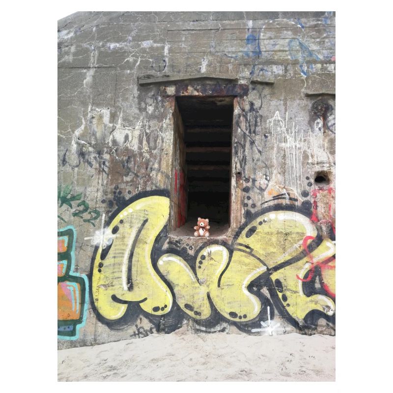 bunker bear