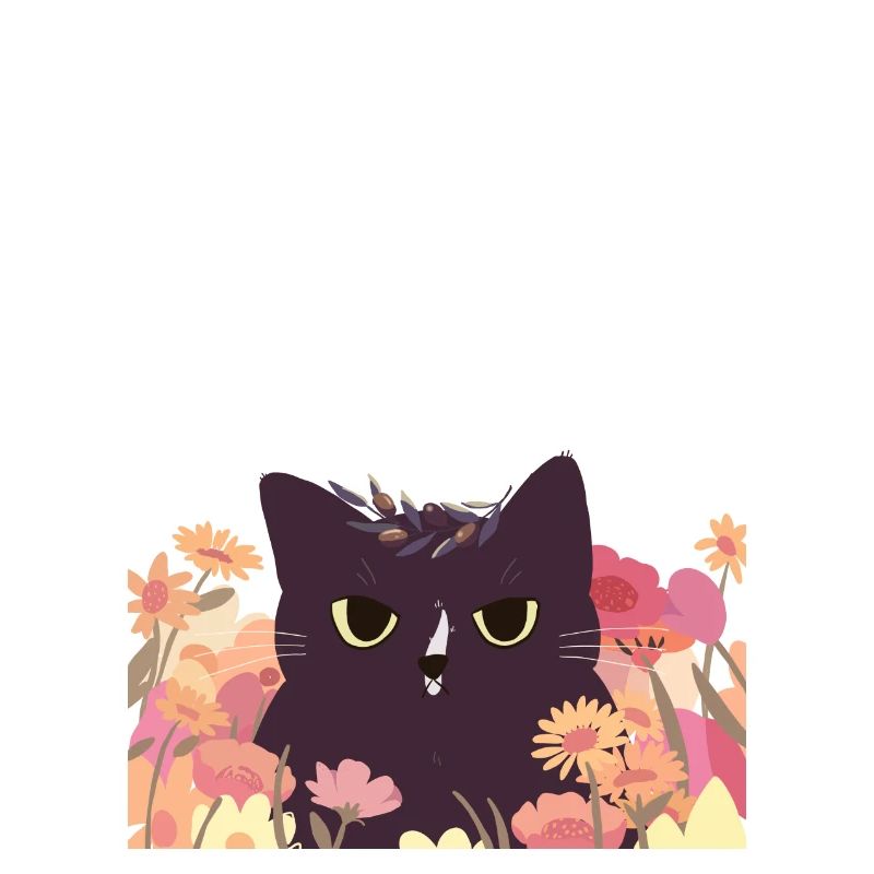 Chat