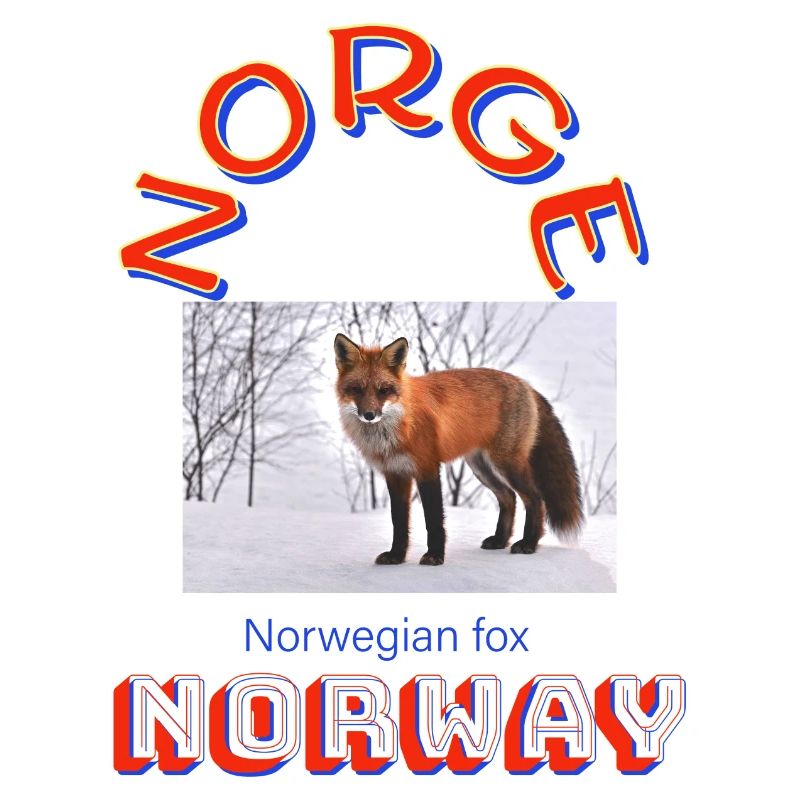 Conception norvégienne