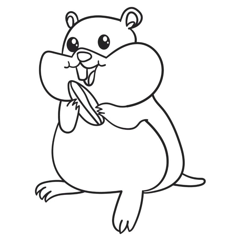 Hamster, Nagetiere, Geschenk, Geschenkidee