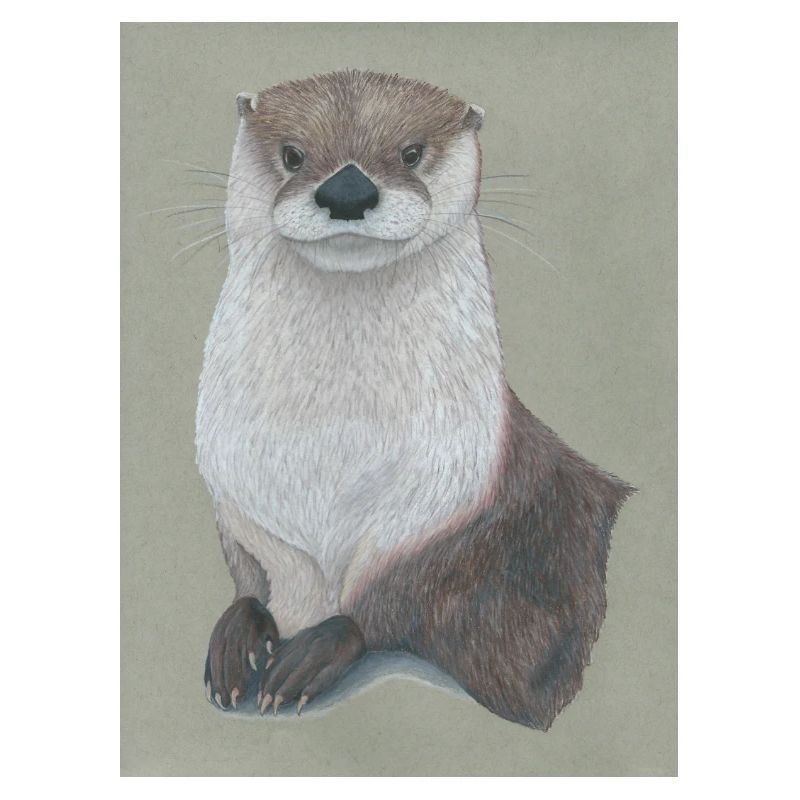 230324 Loutre 3