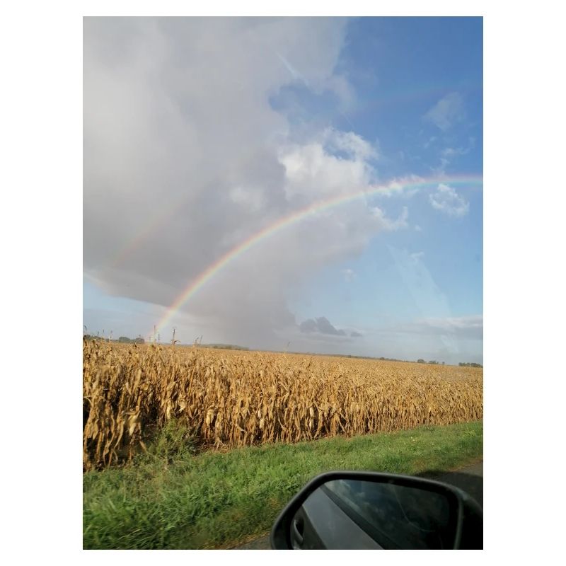 Rainbow on the road and wheat fields