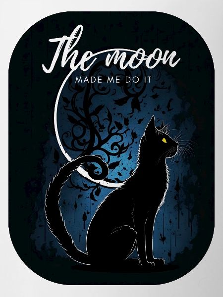 Black cat with the moon
