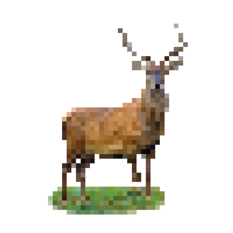 Pixel Hirsch