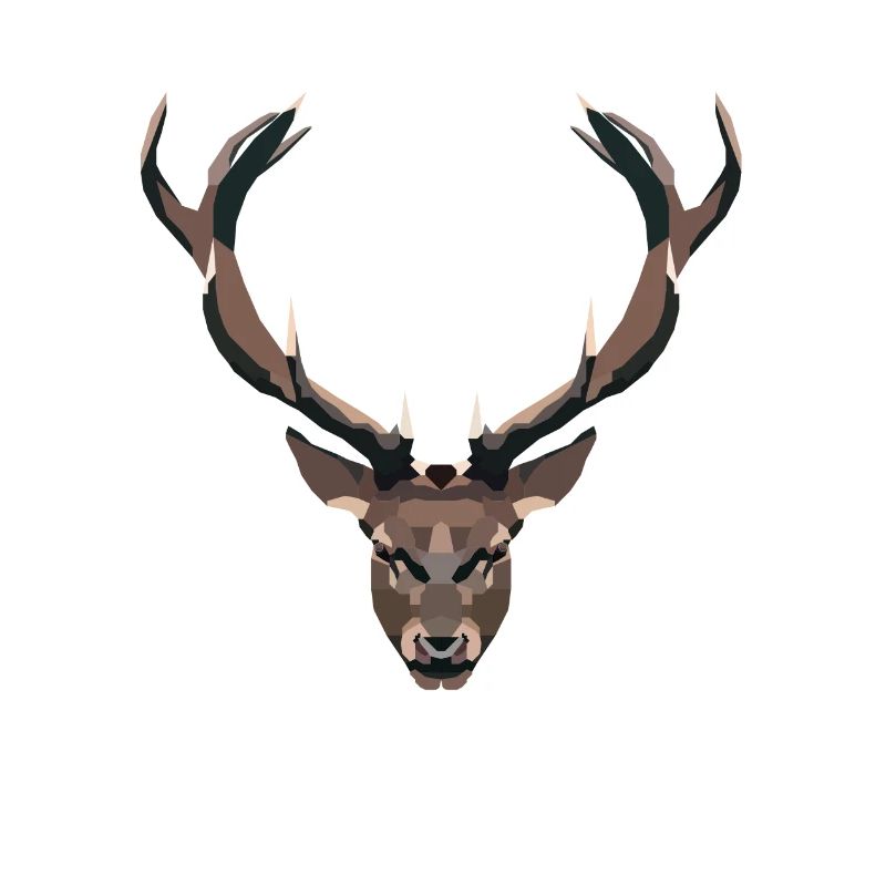 Deer - Deer head - Deer antlers