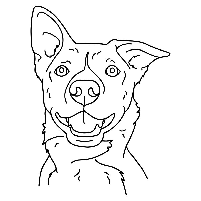 chien