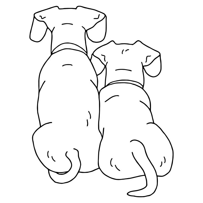 deux chiens