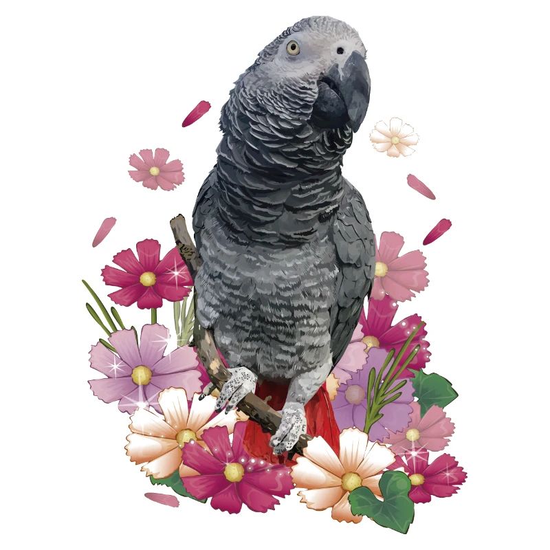 Le perroquet gris