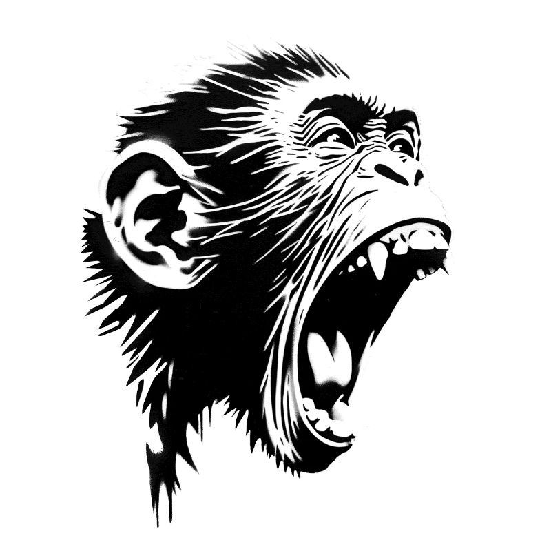 Singer Songwriter Screaming Monkey