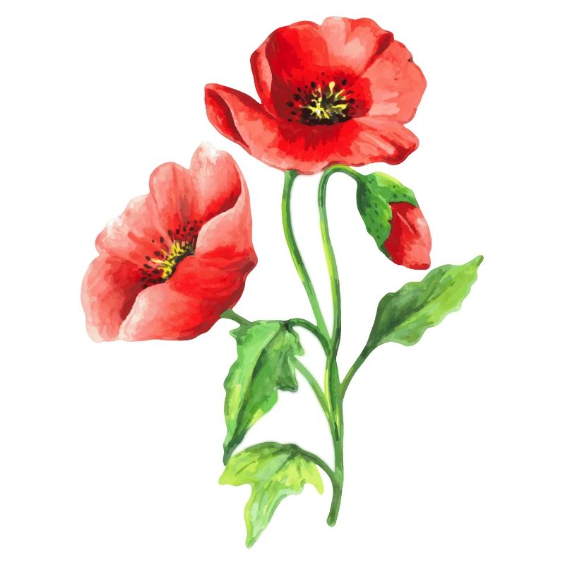 Fleur