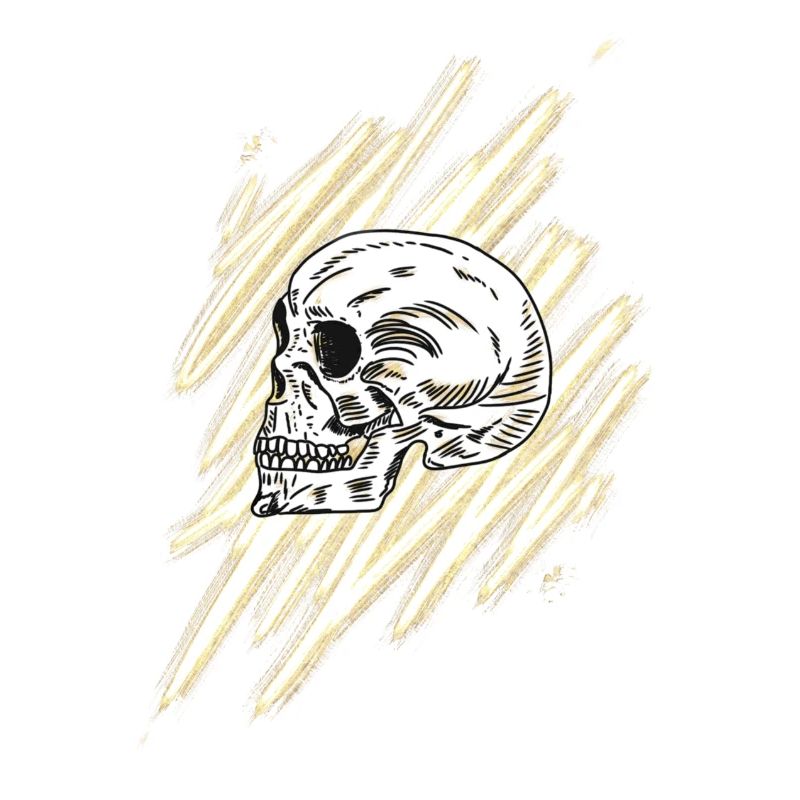 Crâne d’or