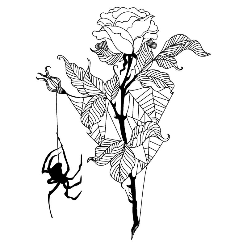 Rose araignée