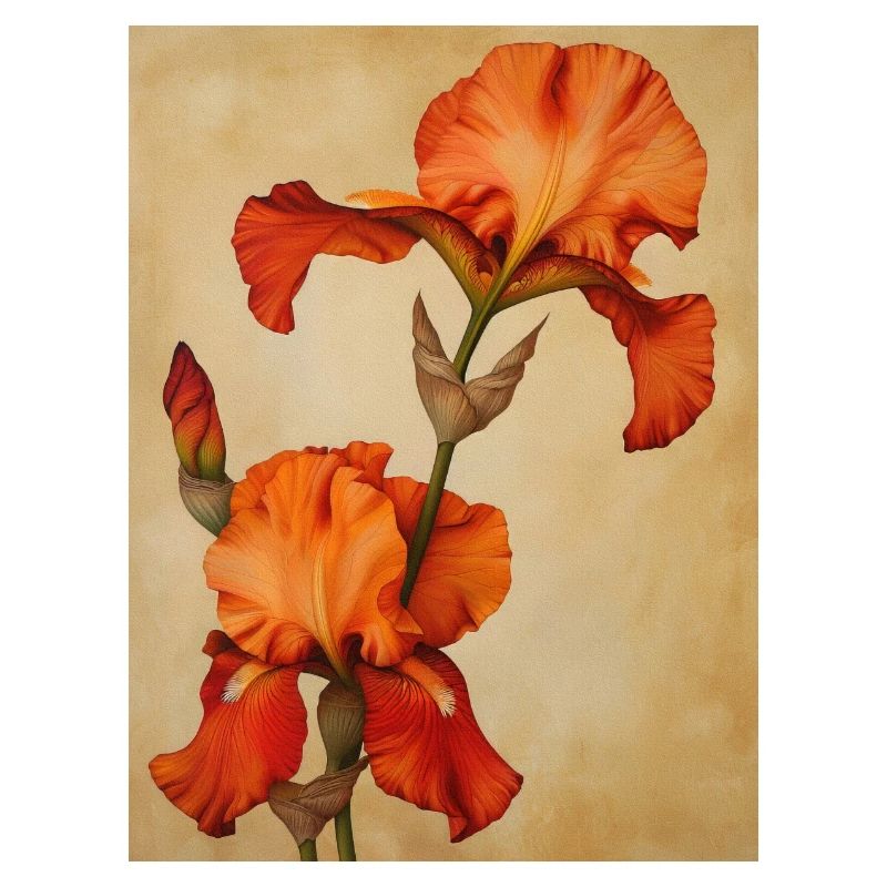 Affiche Toile Sng Iris 36