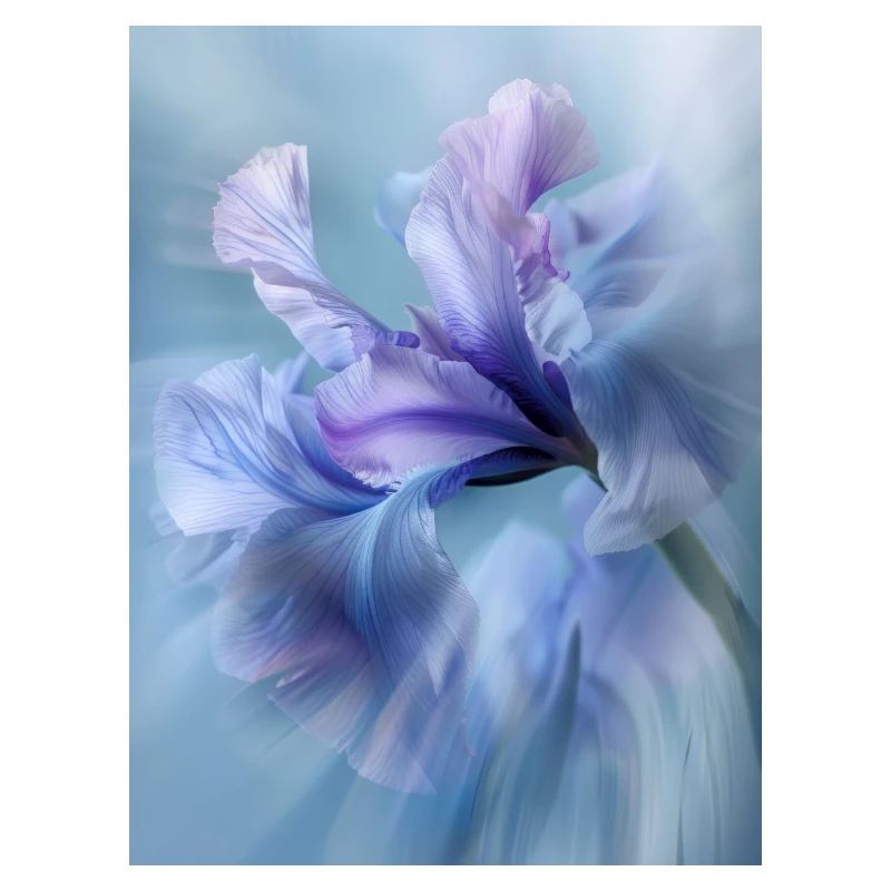 Affiche ICM Flower 12