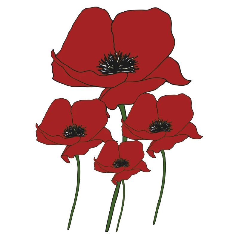 Bouquet de coquelicots