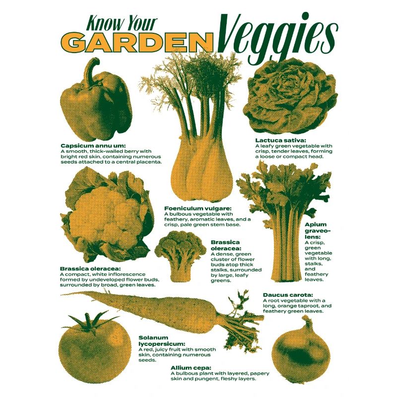 Collection Garden Veggies Vegetable Design