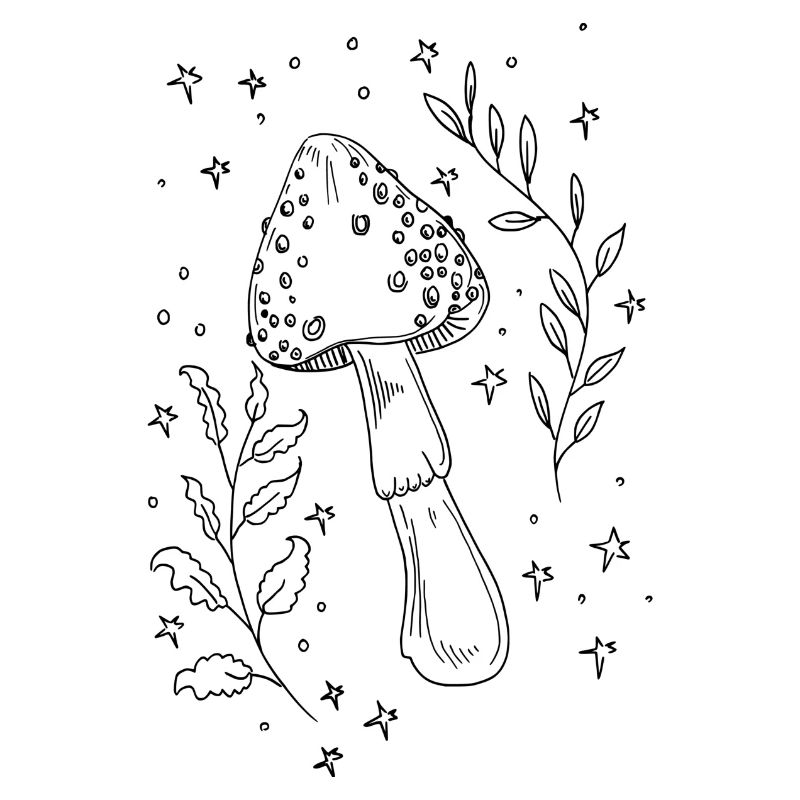 Champignon magique