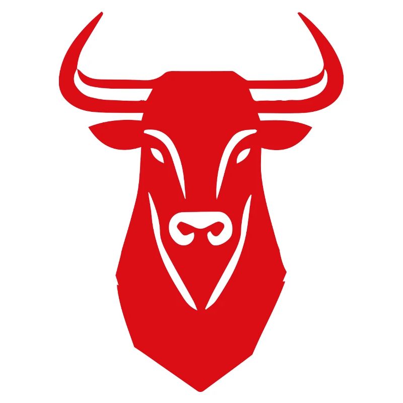Bull Fair