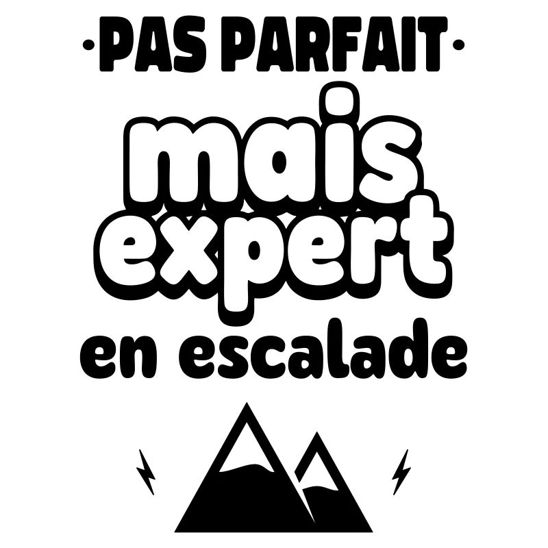 expert en escalade