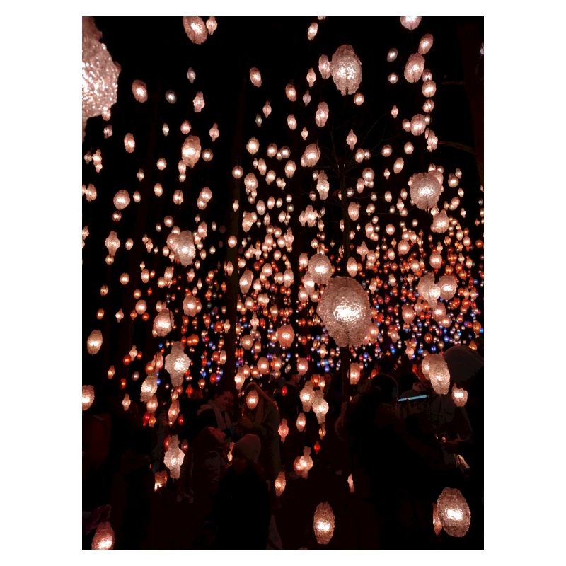 NIGHT LIGHTS
