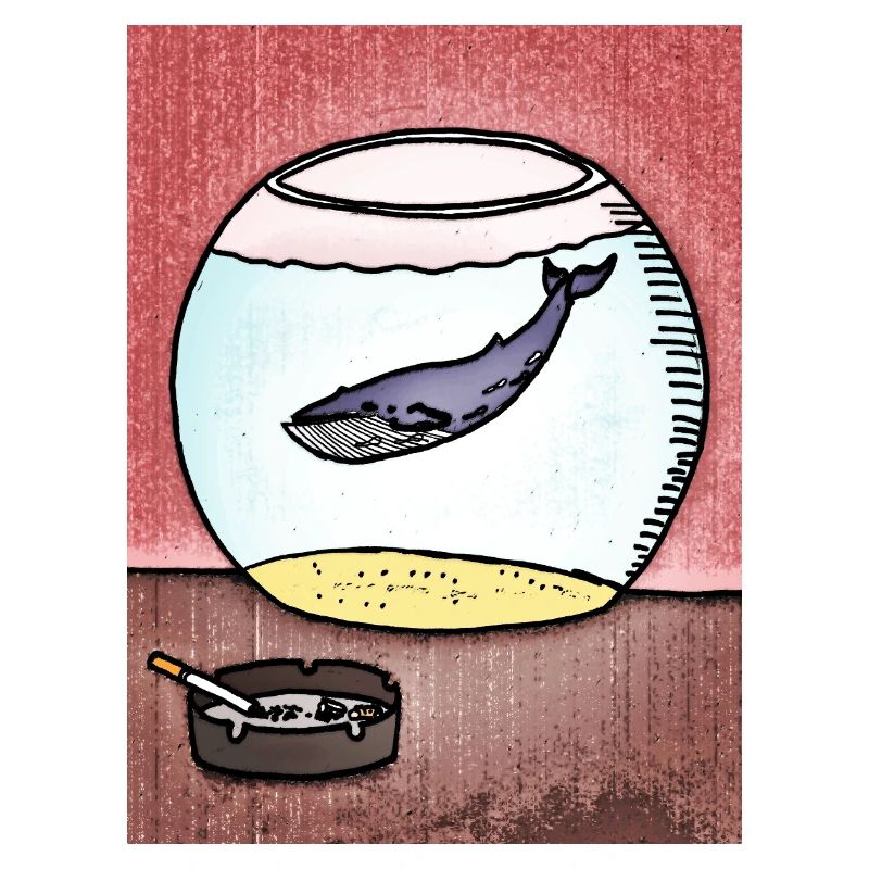 Wal im Aquarium