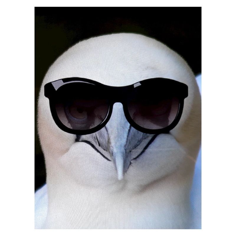 Tölpel, it's cool
