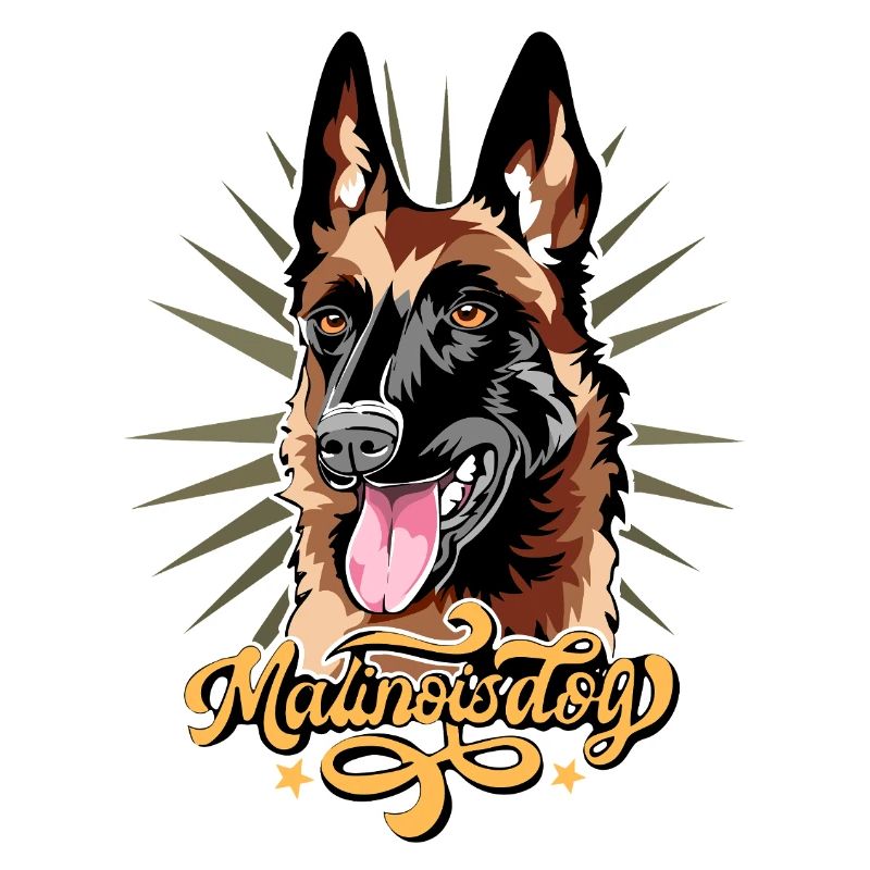malinois dog