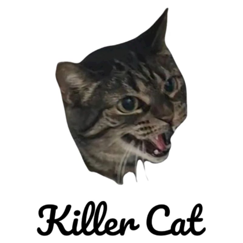 Killer Cat