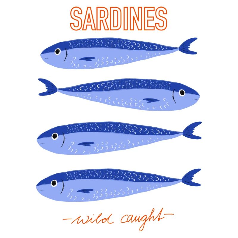 Sardines Wild Caught Style